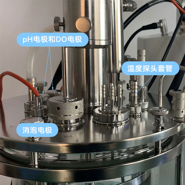 發酵罐傳感器