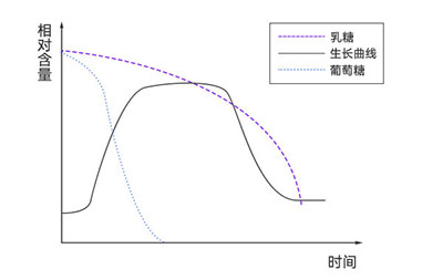 大腸桿菌在不同培養基中的生長